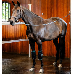 Ginocchiera cavallo Horseware Ice-Vibe | Equitazione Ginocchiera cavallo Horseware Ice-Vibe | Equitazione