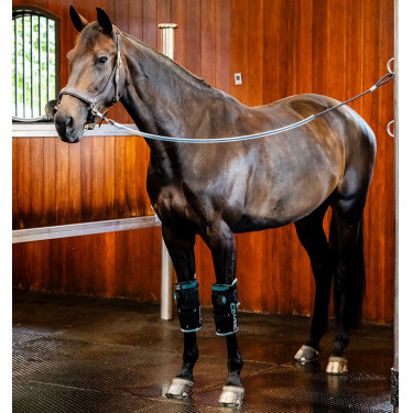 Ginocchiera cavallo Horseware Ice-Vibe | Equitazione Ginocchiera cavallo Horseware Ice-Vibe | Equitazione