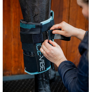 Ginocchiera cavallo Horseware Ice-Vibe | Equitazione Ginocchiera cavallo Horseware Ice-Vibe | Equitazione