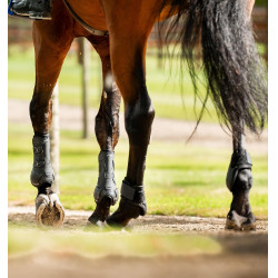 Paraglomi Horseware® Classic Nero / nero