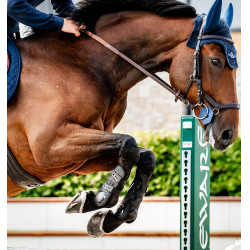 Stinchiere Horseware® Classic Nero / nero Stinchiere Horseware® Classic Nero / nero