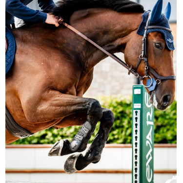 Stinchiere Horseware® Classic Nero / nero Stinchiere Horseware® Classic Nero / nero
