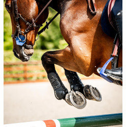 Stinchiere Horseware® Classic Nero / nero Stinchiere Horseware® Classic Nero / nero