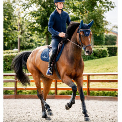 Stinchiere Horseware® Classic Nero / nero Stinchiere Horseware® Classic Nero / nero