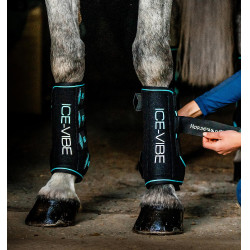 Stinchiere Horseware Ice-Vibe Nero / acqua Blu