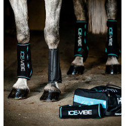 Stinchiere Horseware Ice-Vibe Nero / acqua Blu
