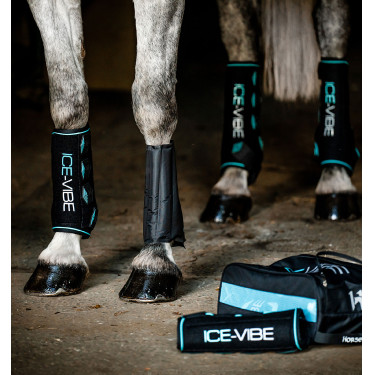 Stinchiere Horseware Ice-Vibe Nero / acqua Blu