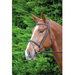 Briglia equitazione Shires Aviemore Comfort Fit in pelle Briglia equitazione Shires Aviemore Comfort Fit in pelle