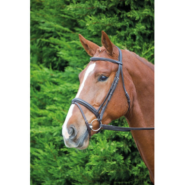 Briglia equitazione Shires Aviemore Comfort Fit in pelle Briglia equitazione Shires Aviemore Comfort Fit in pelle