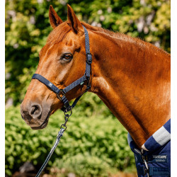 Capestro e lunghina Horseware Newmarket Marine witney Blu marino