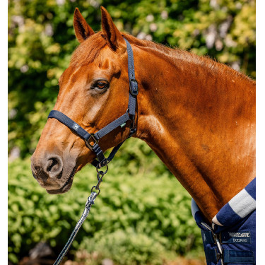 Capestro e lunghina Horseware Newmarket Marine witney Blu marino