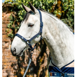 Capestro e lunghina Horseware Newmarket Marine witney Blu marino
