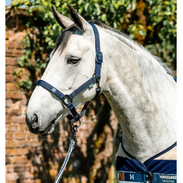 Capestro e lunghina Horseware Newmarket Marine witney Blu marino