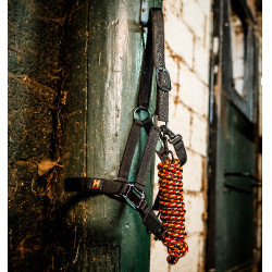 Capestro e lunghina Horseware Newmarket Oro bianco Capestro e lunghina Horseware Newmarket Oro bianco