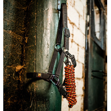 Capestro e lunghina Horseware Newmarket Oro bianco Capestro e lunghina Horseware Newmarket Oro bianco