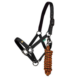 Capestro e lunghina Horseware Newmarket Oro bianco Capestro e lunghina Horseware Newmarket Oro bianco