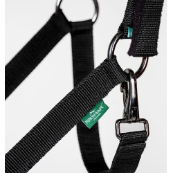 Capestro e lunghina Horseware Newmarket Oro bianco Capestro e lunghina Horseware Newmarket Oro bianco