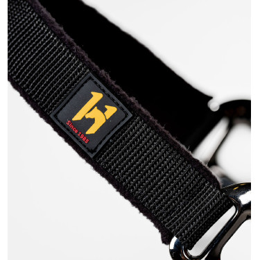 Capestro e lunghina Horseware Newmarket Oro bianco Capestro e lunghina Horseware Newmarket Oro bianco
