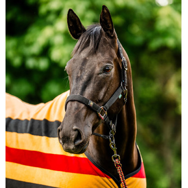Capestro e lunghina Horseware Newmarket Oro bianco Capestro e lunghina Horseware Newmarket Oro bianco
