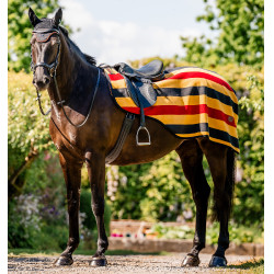 Coprireni in pile Horseware Newmarket Oro bianco