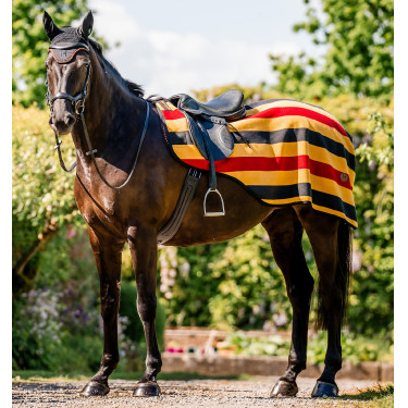 Coprireni in pile Horseware Newmarket Oro bianco