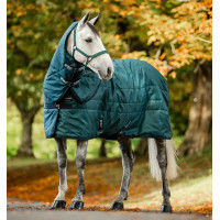 Copricollo da scuderia Horseware Amigo Ripstop Insulator 200g Verde dinastia / blu marine / argento