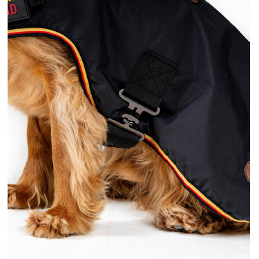 Coperta per cane Horseware Newmarket Oro bianco