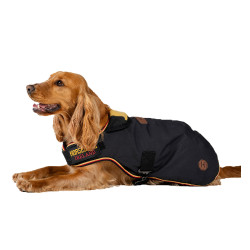 Coperta per cane Horseware Newmarket Oro bianco