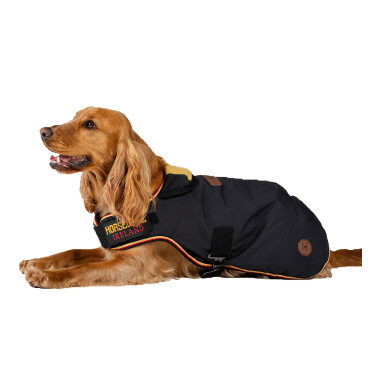 Coperta per cane Horseware Newmarket Oro bianco
