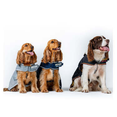 Coperta cane impermeabile Horseware per equitazione