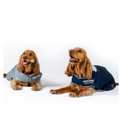 Coperta cane impermeabile Horseware per equitazione