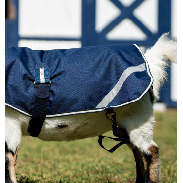 Coperta per capre Horseware 0g impermeabile | Equitazione