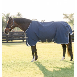 Coperta Horseware Rhino Turnout 100g Nero / grigio titanio / blu classico