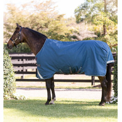 Coperta Horseware Rhino Turnout 100g Marino / grigio / acqua / grigio Blu marino