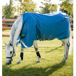 Coperta Horseware Ionic Therapy Turnout 100g Bleu imperial / argent /Marine Blu