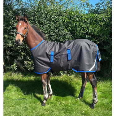 Coperta Horseware Amigo Ripstop 900D Puledro Turnout 50g Nero / blu classico Coperta Horseware Amigo Ripstop 900D Puledro Turnout 50g Nero / blu classico