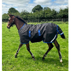 Coperta Horseware Amigo Ripstop 900D Puledro Turnout 200g Nero / blu classico Coperta Horseware Amigo Ripstop 900D Puledro Turnout 200g Nero / blu classico