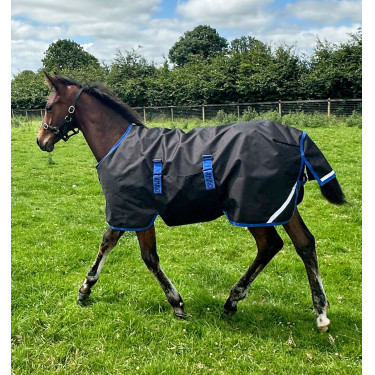 Coperta Horseware Amigo Ripstop 900D Puledro Turnout 200g Nero / blu classico Coperta Horseware Amigo Ripstop 900D Puledro Turnout 200g Nero / blu classico