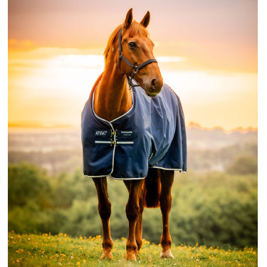 Coperta Horseware Amigo Ripstop 900D Pony Turnout 100g Marine witney Blu marino