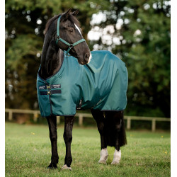 Coperta Horseware Amigo Ripstop 900D Pony Turnout 0g Verde dinastia / blu marine / argento Coperta Horseware Amigo Ripstop 900D Pony Turnout 0g Verde dinastia / blu marine / argento