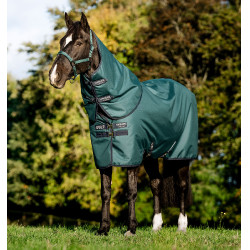 Coperta Horseware Amigo Ripstop 900D Plus Pony Turnout 0g Verde dinastia / blu marine / argento