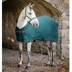 Coperta Horseware Amigo Jersey Poney Cooler Verde dinastia / blu marine / argento