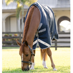 Coperta Horseware Amigo 1200D Turnout 50g Marino / grigio titanio / argento Blu marino Coperta Horseware Amigo 1200D Turnout 50g Marino / grigio titanio / argento Blu marino