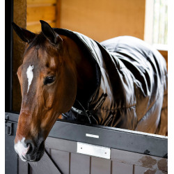 Coperta da scuderia Horseware Amigo Ripstop Insulator Plus 200g Nero / nero / argento