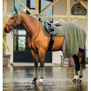 Cuffia antimosche Horseware Amigo Earnet Rovo Verde Cuffia antimosche Horseware Amigo Earnet Rovo Verde