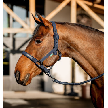 Capestro e lunghina da equitazione Amigo Horseware