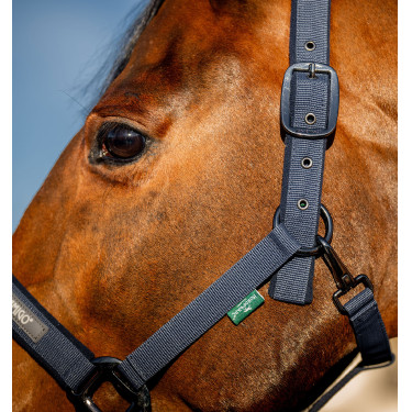 Capestro e lunghina da equitazione Amigo Horseware