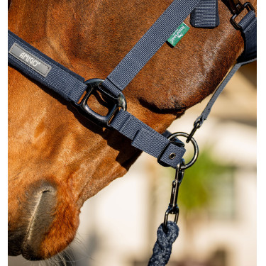 Capestro e lunghina da equitazione Amigo Horseware