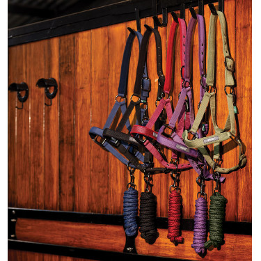 Capestro e lunghina da equitazione Amigo Horseware
