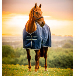 Coperta equitazione Horseware Amigo 900D 50g impermeabile